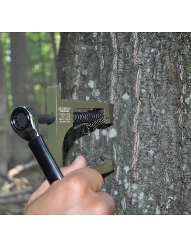 Tree Steps Confezione Da 3 Pezzi -...