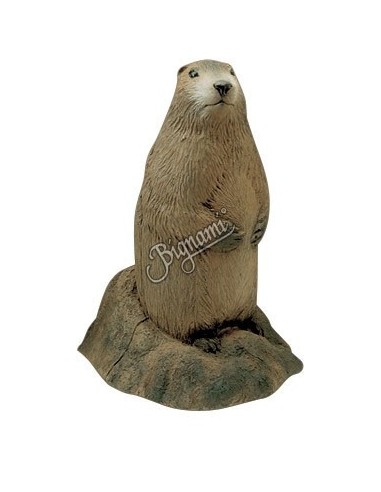 Sagoma Marmotta - DELTA MC KENZIE