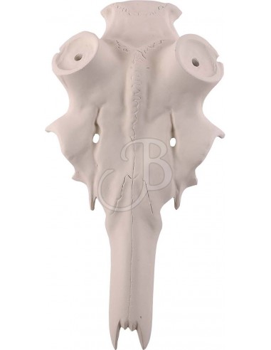 Fake Deer Skull - With 50mm Antlers -...