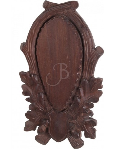 Trophée 1207-17cm Crâne de Chevreuil...