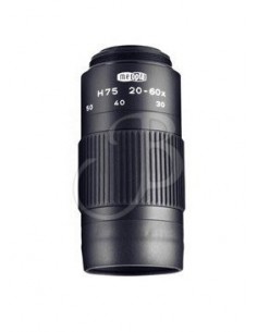 Ocular Tga 75 Plus 20-60x -...