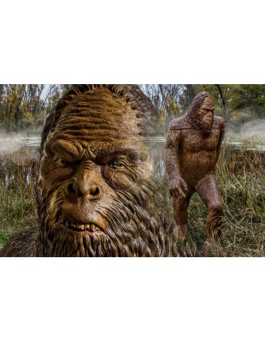 Sagoma 3d 271 Sasquatch - RINEHART