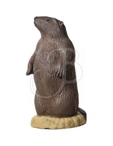 3d silhouette 511 Marmot - RINEHART