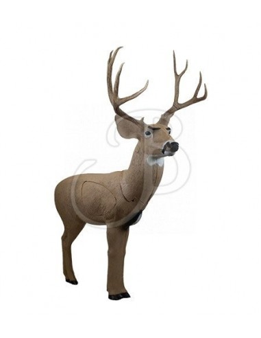 Sagoma 3d 18011 Cervo Mulo Woodland -...