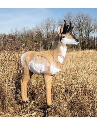 Sagoma 3d 23511 Woodland Antilope -...