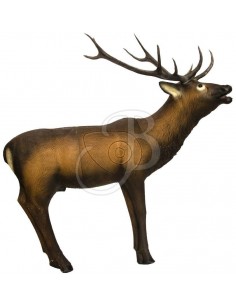 Sagoma 3d Cervo Rosso - SRT