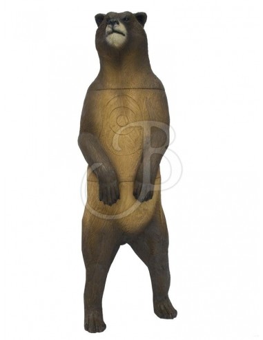 Silhouette 3D de grizzly - SRT