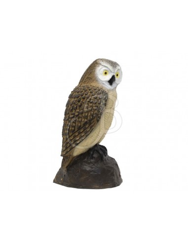 Owl 3d silhouette - SRT