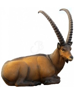 Bouquetin couché,...