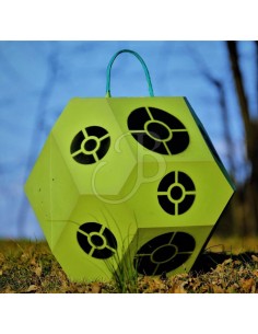 Personal Trainer Green Cube...