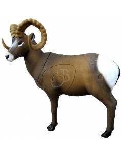 Mouton des montagnes...