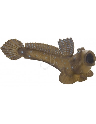 Mudskipper 3d silhouette - SRT