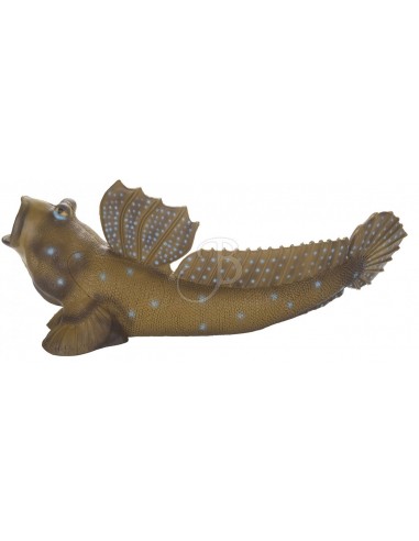 Mudskipper 3d silhouette - SRT