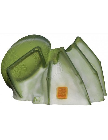 Green Spider 3d Silhouette - SRT
