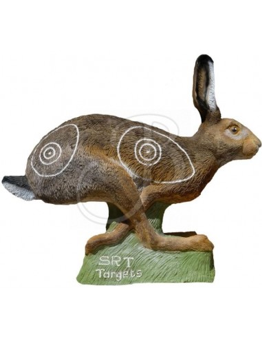 3d Silhouette Hare In Orangery - SRT