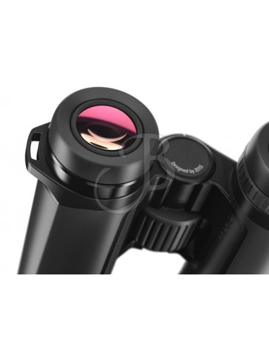 Sfl 8x30 binoculars - ZEISS