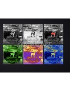 Clip thermique Ta621 -... 2