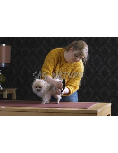 Animal Clipper - Rechargeable 100...