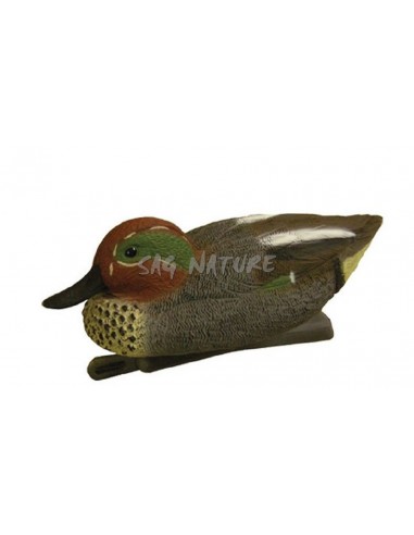 Sarcelle mâle 7406 - SAG NATURE