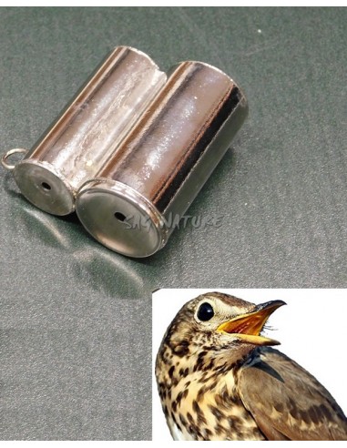Professional decoy for two-way thrush...