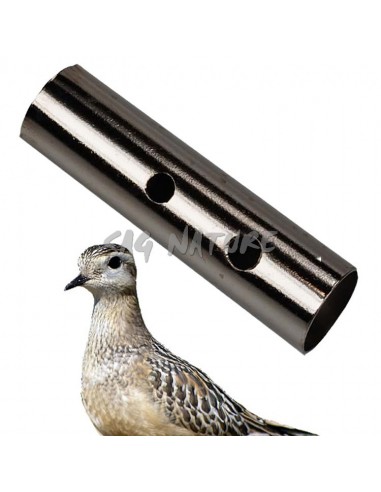 Brass tube plover - SAG NATURE