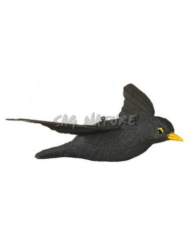 Blackbird In Flight 73-22 - SPORT PLAST