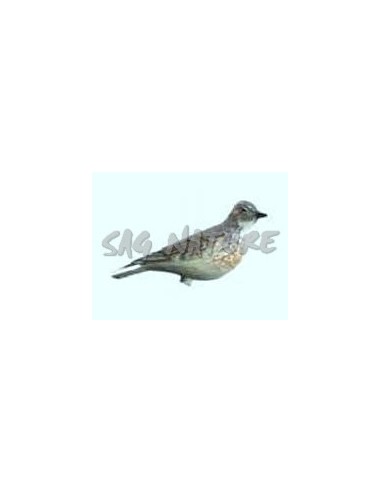 Lark 47-00 - Cf 6 Pcs - SPORT PLAST