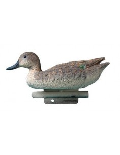 Female Teal 24.5cm Std21 -...