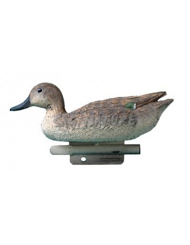 Female Teal 24.5cm Std21 - SPORT PLAST