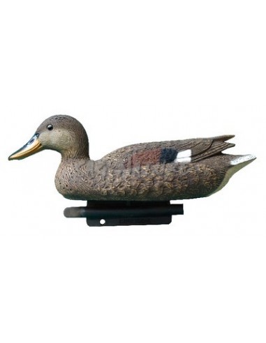 Female Gadwall 34 Cm Std81 - SPORT PLAST
