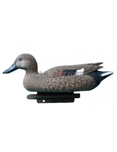 Canapiglia Maschio 34 Cm Std80 -...