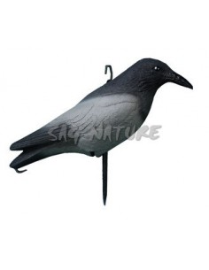 Rough Crow With Rod - SPORT...