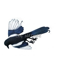 Dead Magpie 110-00 D -...