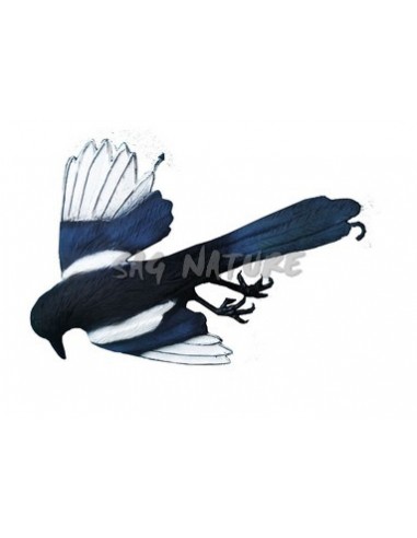 Dead Magpie 110-00 D - SPORT PLAST
