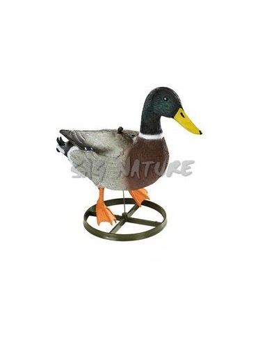 Male Mallard Head High - SPORT PLAST