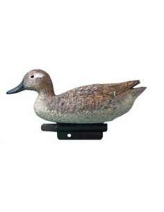 Garganey hembra 24,5 cm -...