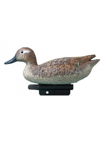 Female Garganey 24.5 cm - SPORT PLAST