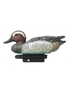 Male Garganey 25 Cm - SPORT...