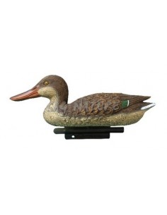 Female Shoveler 34 Cm -...