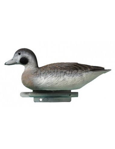 Codona moretta hembra 28,5 cm std120...