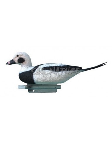 Moretta Codona Maschio 43 Cm Std119 -...