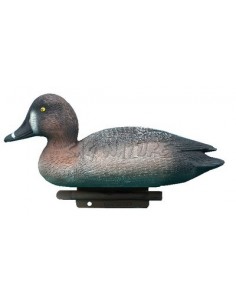 Female Pochard 35.5 Cm...