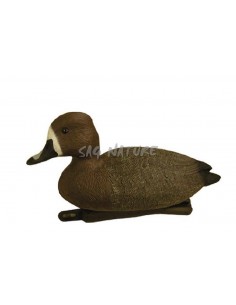 Pochardo Hembra 7820h -...