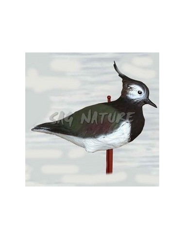 Lapwing 36-00sg - SPORT PLAST