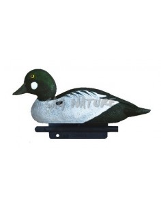 Quattrocchi Maschio 34,5 Cm...