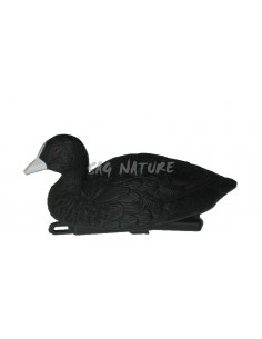 Focha 78382 - SAG NATURE