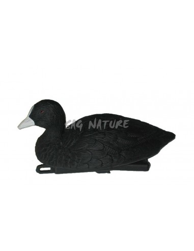 Folaga 78382 - SAG NATURE