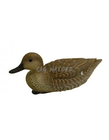 Female Teal 7355 - SAG NATURE