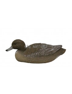 Canard femelle 7812f - SAG...