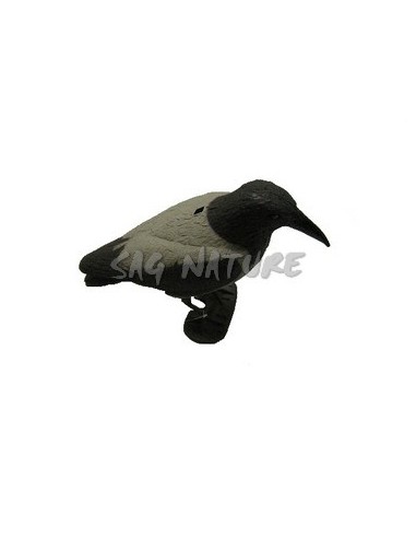 Cuervo Gris 78520 - SAG NATURE